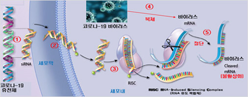 합성 생물학 기술 